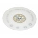 GRAFFIT AUTO Backing pad for Resin Fibre Discs 125mm | Backing Pads